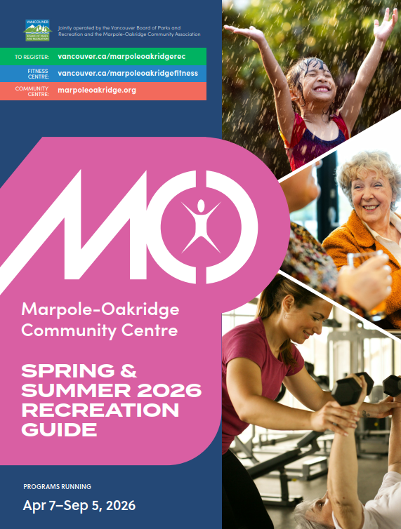 orange leaves and blue sky